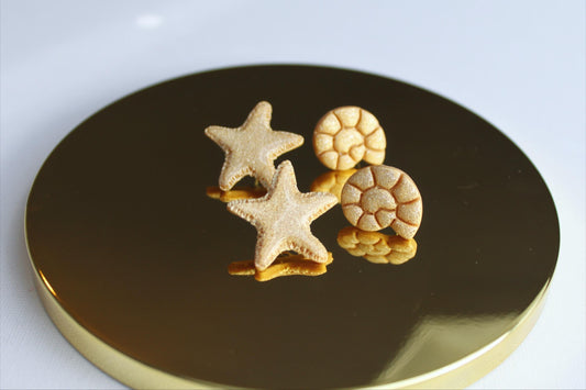 Seashell Stud Earrings SET, Summer Stud Earring Set, Polymer Clay Stud Earrings, Stud Pack, Summer Earrings,Handmade,Stud Set, Gold Starfish
